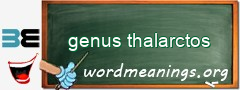 WordMeaning blackboard for genus thalarctos
